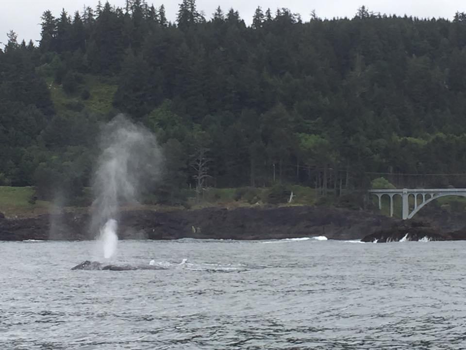 16231FC4-2365-42E9-8588-6DF92A551CBC